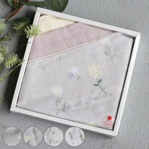 K[[ Lien de famille 3 Zbg { i K[[nJ` K[[^I 24cm xr[ Ԃ Mtg v[g ̎q j̎q  nJ` xr[nJ` _uK[[  蕨 