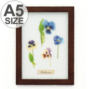 A[gt[ HERBARIUM ART FRAME rI×Brown i n[oE A[g Ǌ|  O[ CeA G X^h AeB[N i`  Mtg v[g ̓ j a