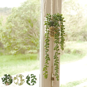 lHϗtA GNA LA[eBtBVO[ i ϗtA tFCNO[  ݂邷 nMO nMOO[ A[gO[ lH tFCN A CTG} L R C