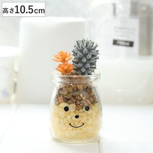 観葉植物 風水玄関の人気商品 通販 価格比較 価格 Com 観葉植物 風水玄関の人気商品 通販 価格比較 価格 Com