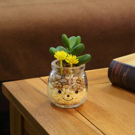 楽天市場 フェイクグリーン 風水 観葉植物の通販