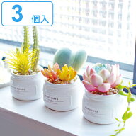 フェイクグリーン 3個入 Aset エクリア CT触媒 観葉植物 （ ミニ 人工観葉植物 造花 空気清浄 消臭 抗菌 …