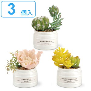 トイレ 観葉植物 消臭の人気商品 通販 価格比較 価格 Com トイレ 観葉植物 消臭の人気商品 通販 価格比較 価格 Com