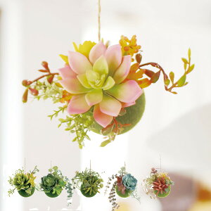 tFCNO[ nMO{[ S GNA CTG} ϗtA i lHϗtA  ǂ nMO C L R h sv  S }CiXCI A 