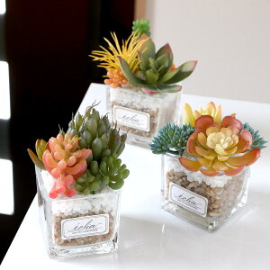 tFCNO[ GNA LA[eBtBVO[ STCY i ϗtA tFCN lHϗtA A CTG} L h R   sv lHA O[  