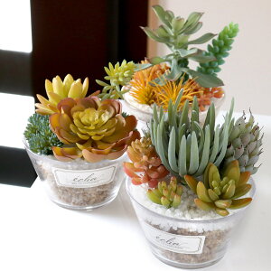 tFCNO[ GNA LA[eBtBVO[ LTCY i ϗtA tFCN lHϗtA A CTG} L h R   sv lHA O[  