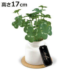 tFCNO[ N[o[ S lHϗtA GNA i ~j ϗtA  CTG} G} L h R ȒP  S CeA  fXN gC ʏ jy3980~ȏ㑗