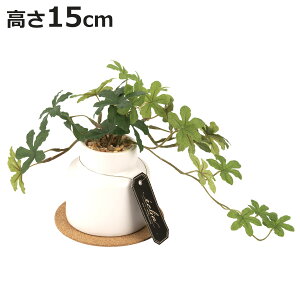 tFCNO[ VK[oC S lHϗtA GNA i ~j ϗtA  CTG} G} L h R ȒP  S CeA  fXN gC ʏ jy3980~ȏ㑗