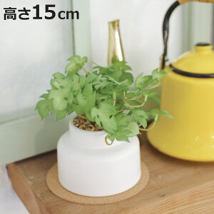 tFCNO[ Xe M lHϗtA GNA i  ϗtA  CTG} G} L h R ȒP  S CeA  fXN gC ʏ jy3980~ȏ㑗