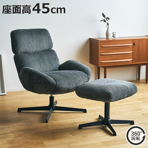 `FA ʍ45cm ] Ibg}t xC p[\i`FA i `FA[ CX ֎q  R[fC t@ubN u \t@ 1l| bNX Sn K rO`FA j