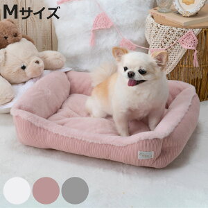 ybg xbh XNGAxbhM mimi ^bX i ybgp XNGA^  L Vv IV  ybgpi MTCY p Lp  ybg\t@ ybgNbV ~ jy3980