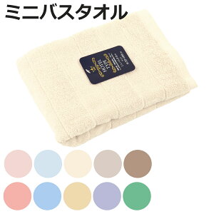 ~joX^I NJ[ 50×100cm i ^I z ʋC 100 ^I  fC[^I ̐@ ^IPbg C Rbg Vv n oXObY jy3980~ȏ㑗z