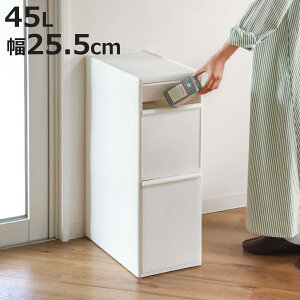 S~ 45L 2i 25.5cm ԂŎg XCOXgbJ[ i ݔ _Xg{bNX 45bg 20L 25L 2 Lb` ȃXy[X X Ԏ[ c^  [ Lb`[  XgbJ