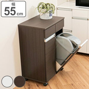 S~ 38L 2 JE^[^ 55cm i i  ݔ 19L×2 JE^[ [  y[t Lb`[ S~ɌȂ Vv  JE^[Lb` o L