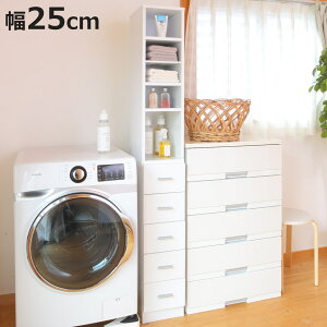 XbN 25cm [bN I Ԏ[ XgbJ[ o5i i bN {I `FXg Lb`[ h[ A4Ή ^I[ ㉺ Zp[g  uE zCg 