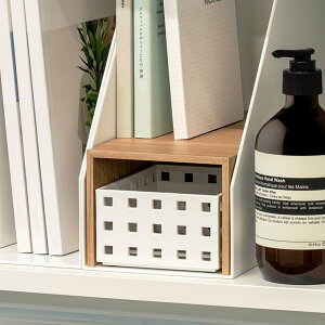 vXbN~h i` 12.2s259.5cm i bN I R̎ [I ؖڒ [bN [ t@C{bNXΉ   I fBXvC R̎bN t[