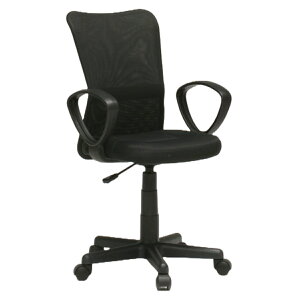 ItBX`FA bV It^Cv ʍ42`54cm KX`FA [A i [N`FA p\R`FA LX^[t wK֎q I|  `FA `FA[ CX ֎q  ItB