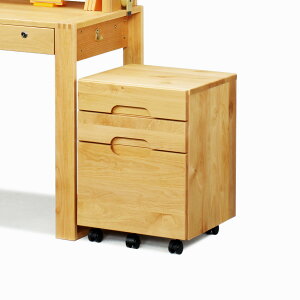 fXNS LX^[t 3i 42cm J[ i S TChS o [ fXN i TCh`FXg tI[v ؐ e Lrlbg TChLrlbg  