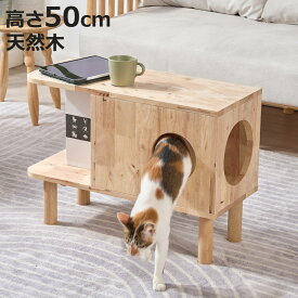 キャットハウス 収納 サイドテーブル 高さ50cm キャットキューブ NATURAL SIGNATURE （ 猫ハウス ミニテーブル ソファサイド ベッドサイド 収納スペース付き 木製 天然木 ナイトテーブル コーヒーテーブル ベッドテーブル ネコ家具 ）【3980円以上送料無料】