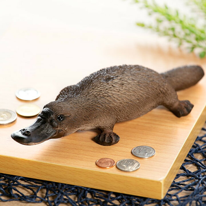 楽天市場 カモノハシ 貯金箱 リアル オブジェ 置物 インテリア 雑貨 動物 アニマル インテリア雑貨 動物貯金箱 コインバンク ペットバンク Petbank かわいい プレゼント ギフト お祝い 3980円以上送料無料 お弁当グッズのカラフルボックス