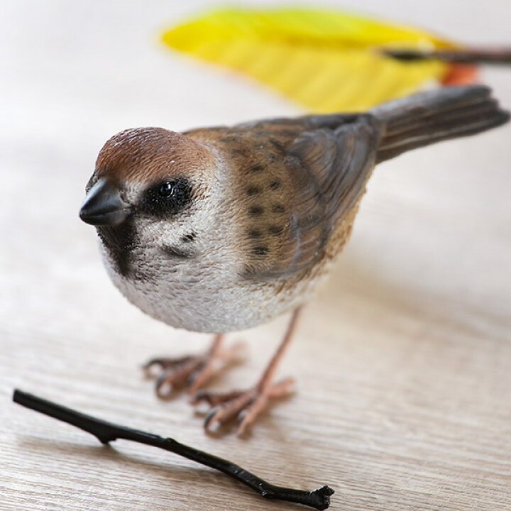 楽天市場】オブジェ BIRDIE BILL スズメ マグネット付き （ 置き物 