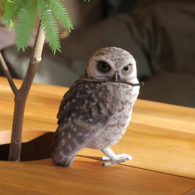 オブジェ BIRDIE BILL BURROWING OWL アナホリフクロウ マグネット付き （ クリップホルダー 置き物 置物 鳥 動物 アニマル リアル マグネット 磁石 飾る リビング 机上 雑貨 オーナメント インテリア 贈り物 プレゼント ギフト ）【3980円以上送料無料】