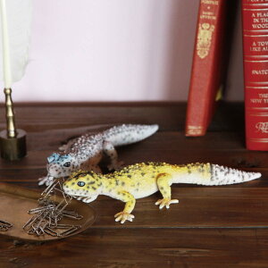 IuWF REPTILES MAG qEgJQhL i Nbvz_[ u u  gJQ A }Olbg    }XRbg fBXvC X rO   G I[i