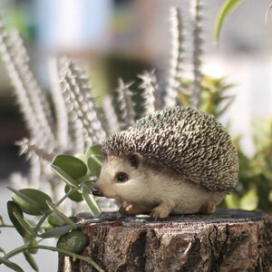 IuWF nlY~ ybgoN  i u  G Aj} A   fBXvC tBMA }XRbg ͂˂ AAj} rO  I[ig C