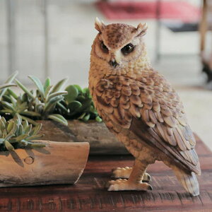 IuWF gtYN ybgoN  i u ӂ낤   G Aj} A   fBXvC tBMA }XRbg tNE AAj} rO  I[i