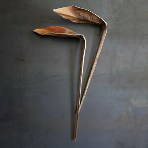 hCt[ CASTO SHOE HOM i } } CeA ԍ i`  IuWF fBXvC G A ˂ } ؂̎} Mtg CeAG  rO EF[u jy39