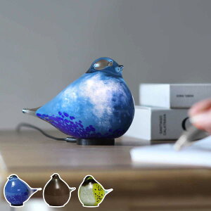 e[uCg HEALING BIRD USBd i Cg KX IuWF k   [d RpNg R[hX e[uv iCgCg  Ɩ ԐڏƖ v xbhTCh 