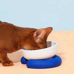 t[h{E Single Bowl Base  i ybg{E VO L ybgp aM GTM Hׂ₷ ybgpH  Lp ~ߕt ybgpi jy3980~ȏ㑗z