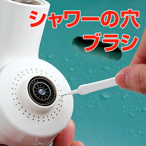 V[̌uV |puV 10{ i V[ ֊mY | uV oX| gC| j y3980~ȏ㑗z