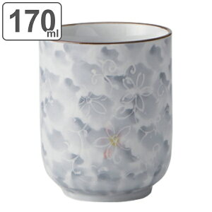 ۂ 170ml n Rbv H aH  i H@Ή dqWΉ   ۂݒq  ̂ q pi  j y3980~ȏ㑗z