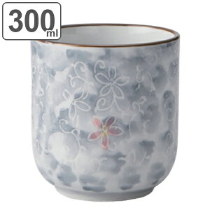 iۂ 300ml n ۂ Rbv H aH  i H@Ή dqWΉ   ۂݒq  ̂ q pi  j y3980~ȏ㑗z