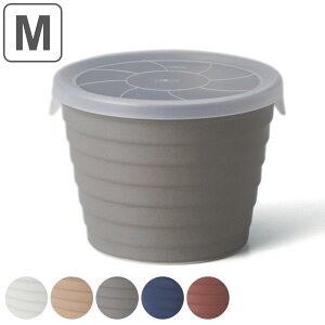 保存容器 抗菌 330ml デリボックス M ( 美濃焼 陶器 保存 容器 食品保存容器 食品 ストッカー フードストッカー キャニスター 食品保存 食洗機対応 電子レンジ対応 作り置き 常備菜 日本製 お