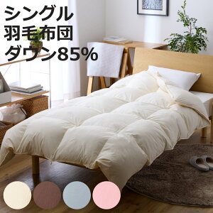 羽毛掛けふとん ダウン85% シングル 日本製 ( 羽毛布団 ふとん 寝具 ホワイトダック 羽毛 圧縮梱包 消臭 アレルGプラス アレル物質低減 アイボリー ブラウン グレー ピンク 無地 )【3980円
