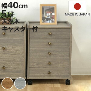 ˃`FXg 40cm 5i LX^[t A4[ { i `FXg  i`FXg VR A4  ؐ o LX^[ ܒi [ Ƌ i` O[ jy3980~ȏ㑗z