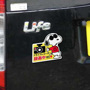 J[TC hCuR[_[ }Olbg TC Xk[s[ i hRTC hRXebJ[ J[XebJ[ J[pi  ^撆 ^]} ^ hCuR[_[