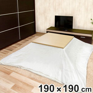 zcp| ` ߓd RECX h R 190×190cm i h~ V[g NA   |Jo[ zc  Jo[ zcJo[ ȃGl ۉ  ۉʃAbv