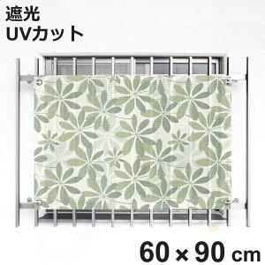  VF[h l JLp 60cm×90cm i TVF[h  悯 Rt iq Ռ UVJbg ȃGl  GR ΍  L }V GNXeA Op O