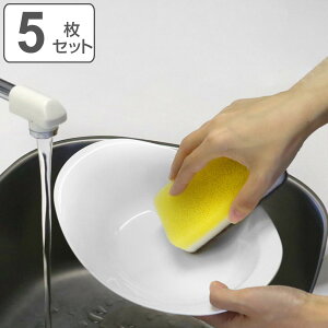 J[M 26cm N[R[g zCg vX`bN 5Zbg i H@Ή dqWΉ M M pX^M M I[o y ɂ pX^ J[ [ ύݗ   