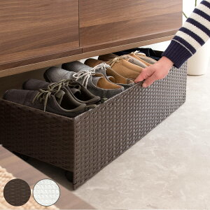 V[YbN Carton ʔ ^ i ֎[ V[YJ[g C C ő 8 [ ʔ V[Y bN ^   Ԏ[ LX^[t v 80×s30×23cm u