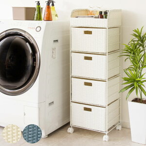 h[{bNX Diario 4i 109cm i h[ [ h[[ {bNX oXPbg e LX^[ ^ h[oXPbg ߗގ[ ߗ 󂩂 JS  `F