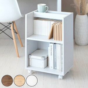 TChbN 2i ؖڒ LX^[t 40cm i fXNS S TChS bN X {I fXN [  i` uE zCg jy3980~ȏ㑗z