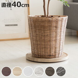 v^[X^h Treno a40cm LX^[t i t[X^h v^[ ԑ u 󂯃v[g LX^[ ~` ړ ] 360x v^[ M    bN 