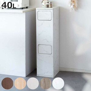 ゴミ箱 40L 2段ダストボックス Empro ( おしゃれ 分別 スリム 分別ゴミ箱 ダストボックス 2段 蓋付き 蓋付きゴミ箱 キッチン リビング 木製 キッチンゴミ箱 スリムゴミ箱 幅25 2分別 袋が見えな