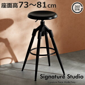 o[`FA ʍ73`81cm nC^Cv ] ~ Ford Signature Studio i JE^[`FA o[ Xc[ `FA ֎q  X`[ tbgXg wȂ  Lb` _CjO 