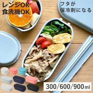 ٓ GEL-COOL dome 1i 300E600E900ml i ٓ `{bNX WFN[h[ ۗ܈̌^ WΉ H@Ή WOK H@OK ٓ ٓ i ۗW jy3980~ȏ㑗