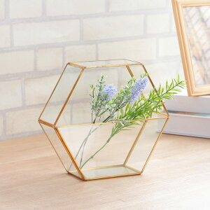 ԕr t[x[X wLTS i Ԃт Ԋ t[x[X KX Ɏq ACA ACAt[ t[X^h ԃr  NA S[h 6p` Zp` j y3980~ȏ㑗